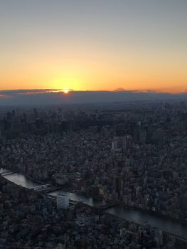 2016年の振り返り　東京旅行