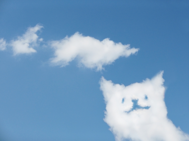 猫の形の雲